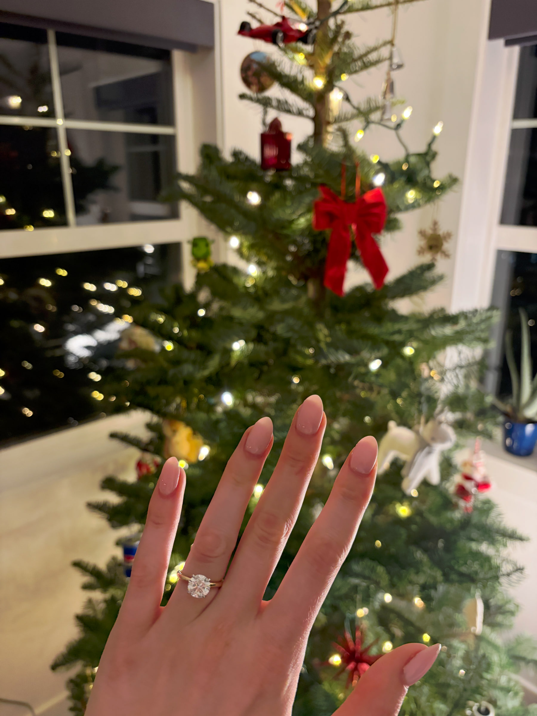 An easy, Friday night, proposal at home. She said yes!
